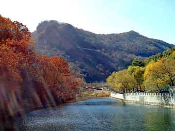 澳门天天彩期期精准平肖，黑龙江旅游职业技术学院